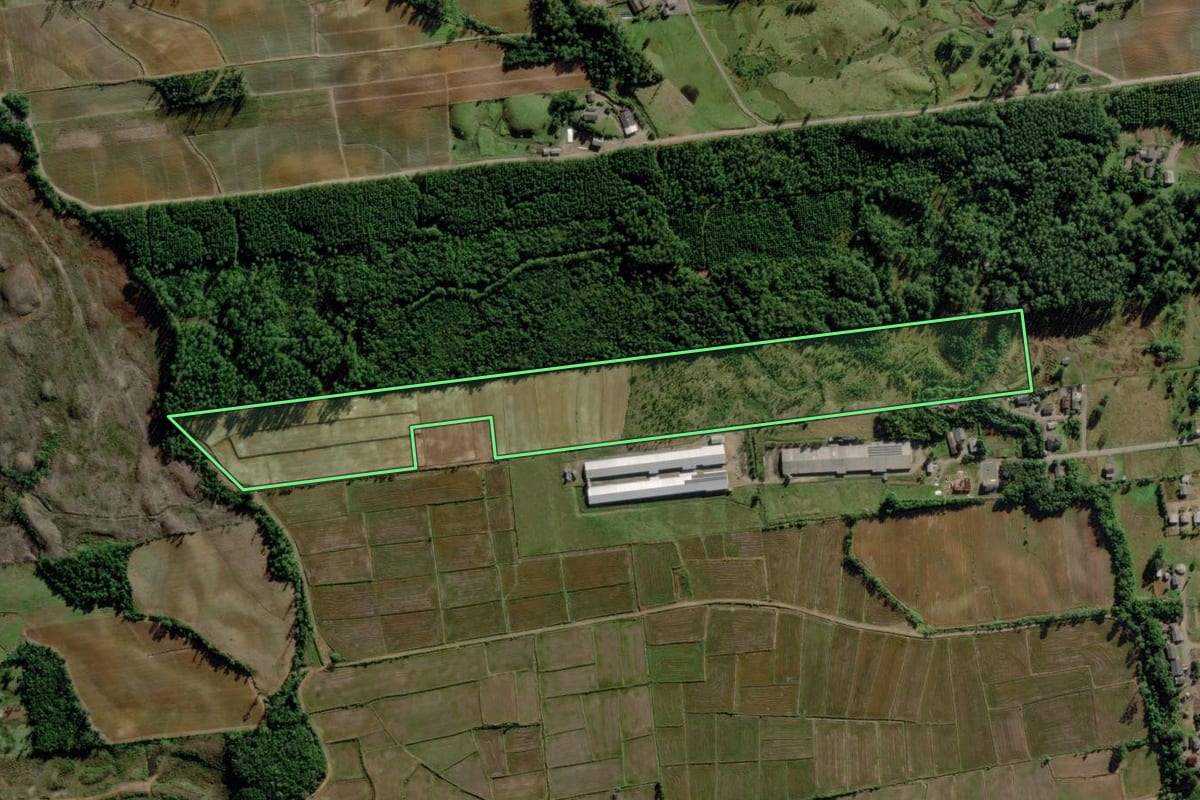 Imagem de satélite do imóvel rural em Morro Grande (SC), com o contorno declarado no CAR desenhado por cima.