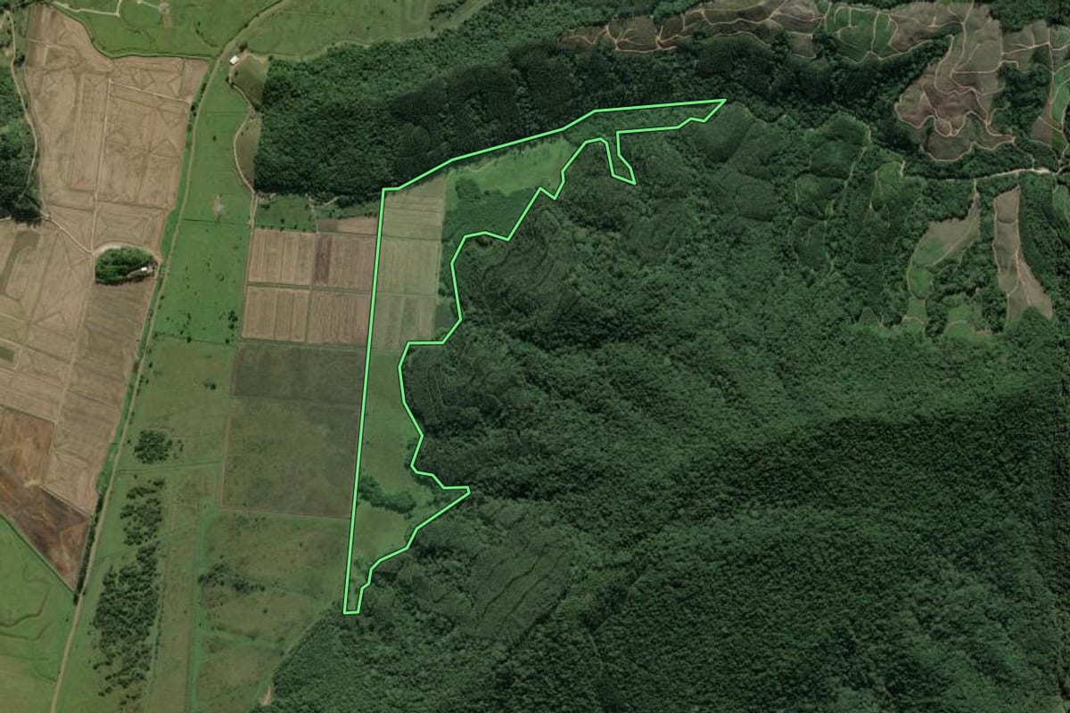 Imagem de satélite do imóvel rural em Navegantes (SC), com o contorno declarado no CAR desenhado por cima.