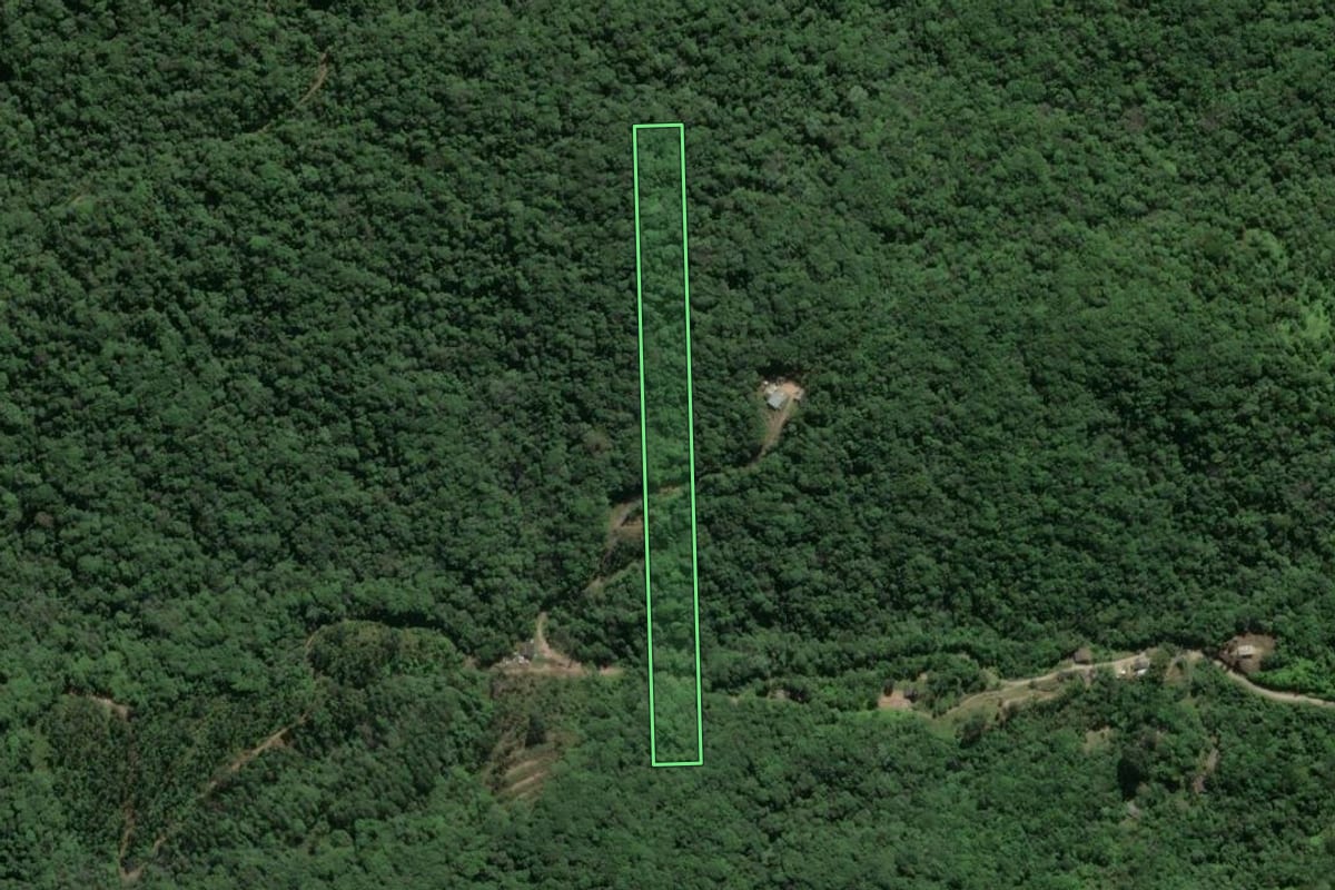 Imagem de satélite do imóvel rural em Navegantes (SC), com o contorno declarado no CAR desenhado por cima.