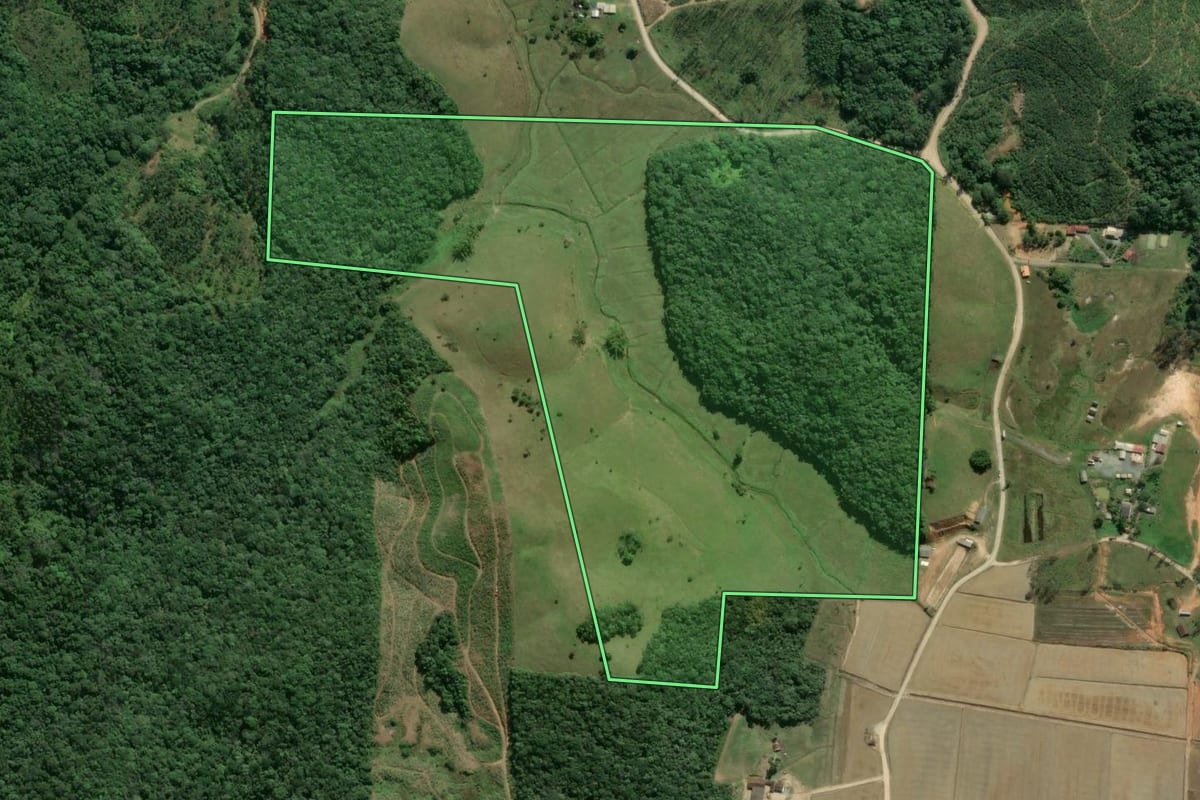 Imagem de satélite do imóvel rural em Navegantes (SC), com o contorno declarado no CAR desenhado por cima.
