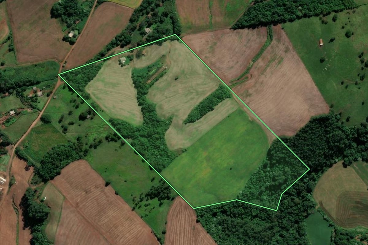 Imagem de satélite do imóvel rural em Nova Erechim (SC), com o contorno declarado no CAR desenhado por cima.