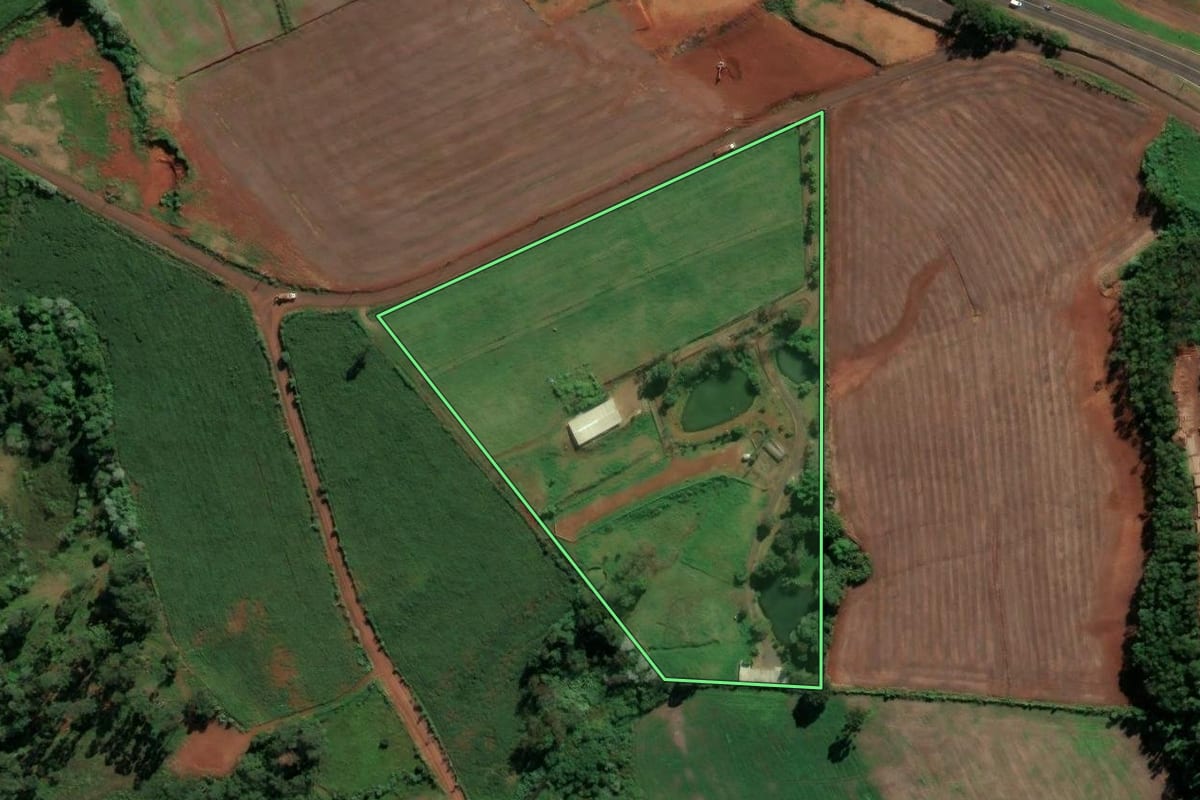 Imagem de satélite do imóvel rural em Nova Erechim (SC), com o contorno declarado no CAR desenhado por cima.