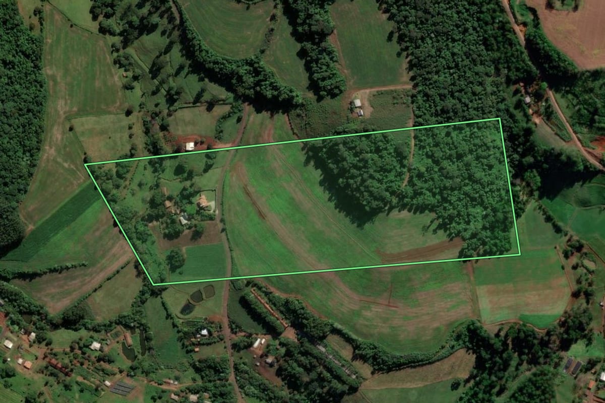 Imagem de satélite do imóvel rural em Nova Erechim (SC), com o contorno declarado no CAR desenhado por cima.