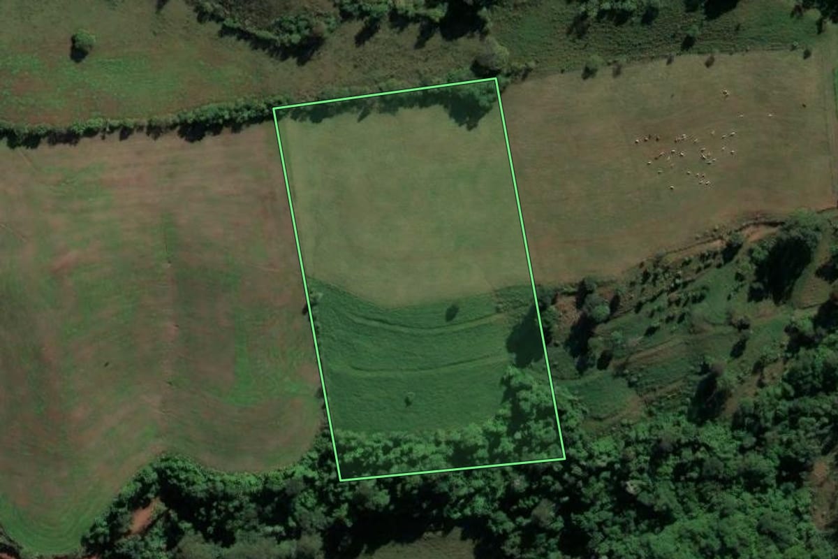 Imagem de satélite do imóvel rural em Nova Erechim (SC), com o contorno declarado no CAR desenhado por cima.