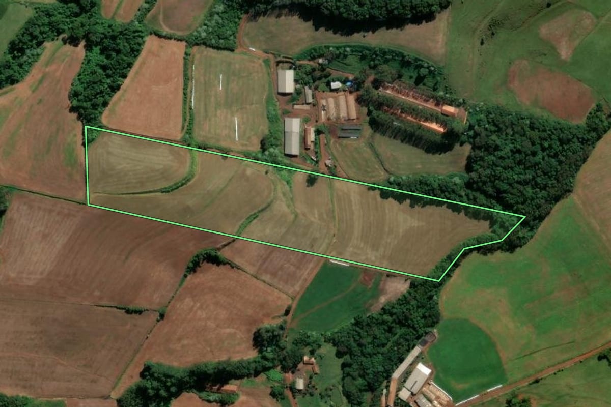 Imagem de satélite do imóvel rural em Nova Erechim (SC), com o contorno declarado no CAR desenhado por cima.
