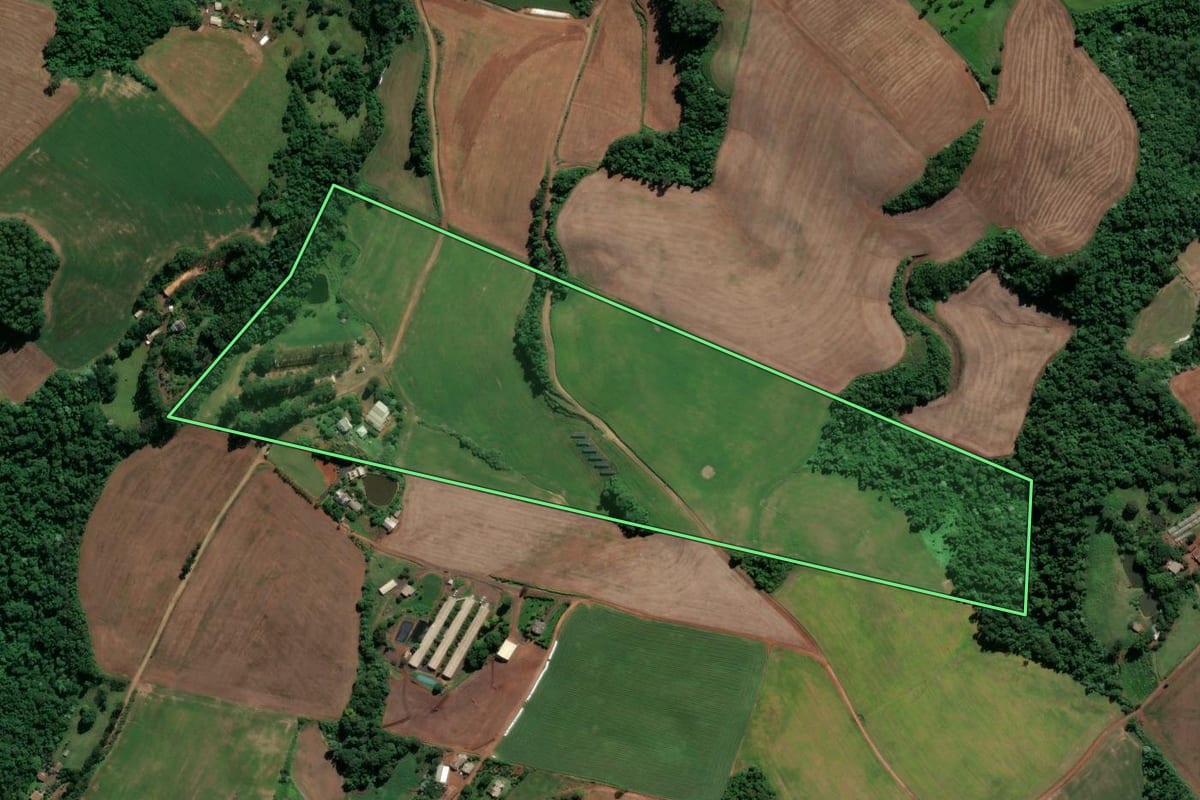Imagem de satélite do imóvel rural em Nova Erechim (SC), com o contorno declarado no CAR desenhado por cima.