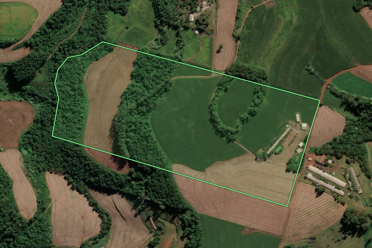 Imagem de satélite do imóvel rural em Nova Erechim (SC), com o contorno declarado no CAR desenhado por cima.