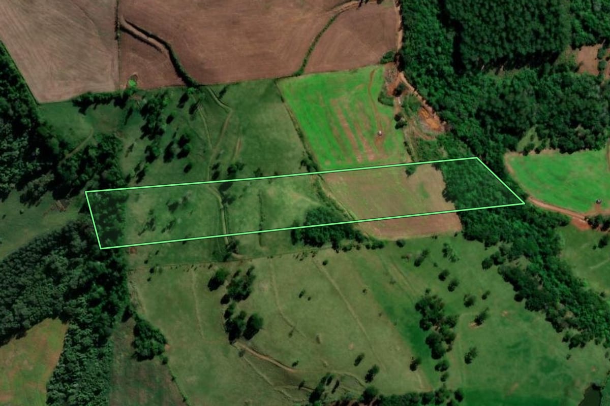 Imagem de satélite do imóvel rural em Nova Erechim (SC), com o contorno declarado no CAR desenhado por cima.