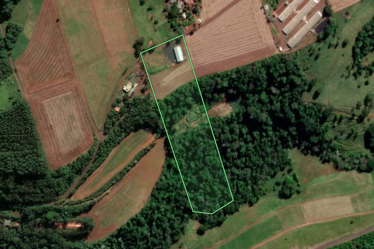 Imagem de satélite do imóvel rural em Nova Erechim (SC), com o contorno declarado no CAR desenhado por cima.