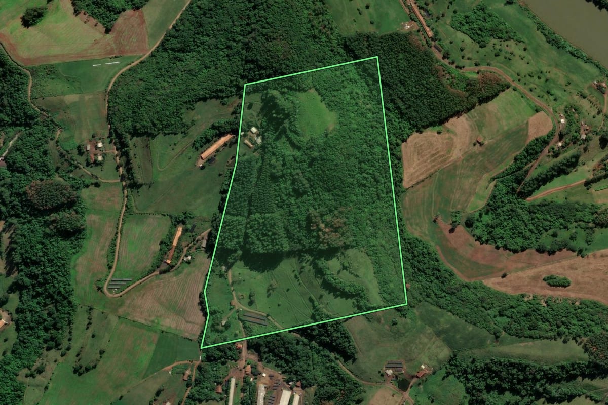 Imagem de satélite do imóvel rural em Nova Erechim (SC), com o contorno declarado no CAR desenhado por cima.