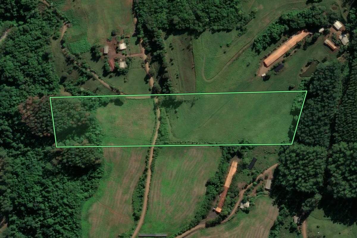 Imagem de satélite do imóvel rural em Nova Erechim (SC), com o contorno declarado no CAR desenhado por cima.