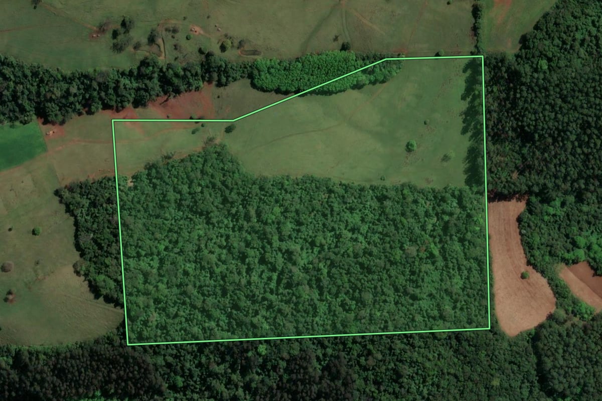 Imagem de satélite do imóvel rural em Nova Itaberaba (SC), com o contorno declarado no CAR desenhado por cima.