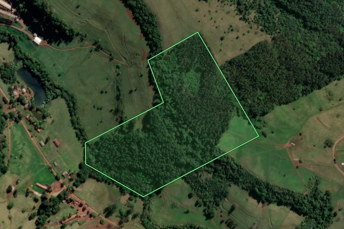 Imagem de satélite do imóvel rural em Nova Itaberaba (SC), com o contorno declarado no CAR desenhado por cima.