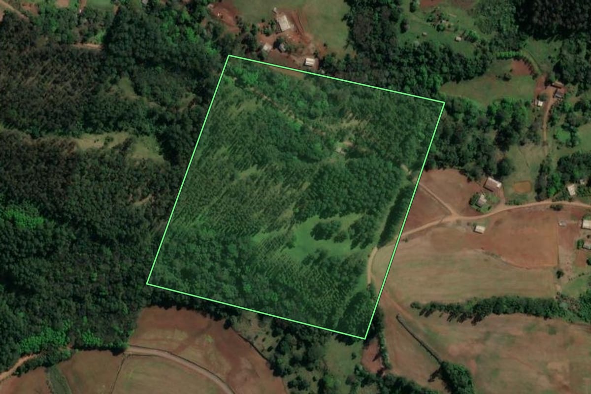 Imagem de satélite do imóvel rural em Nova Itaberaba (SC), com o contorno declarado no CAR desenhado por cima.