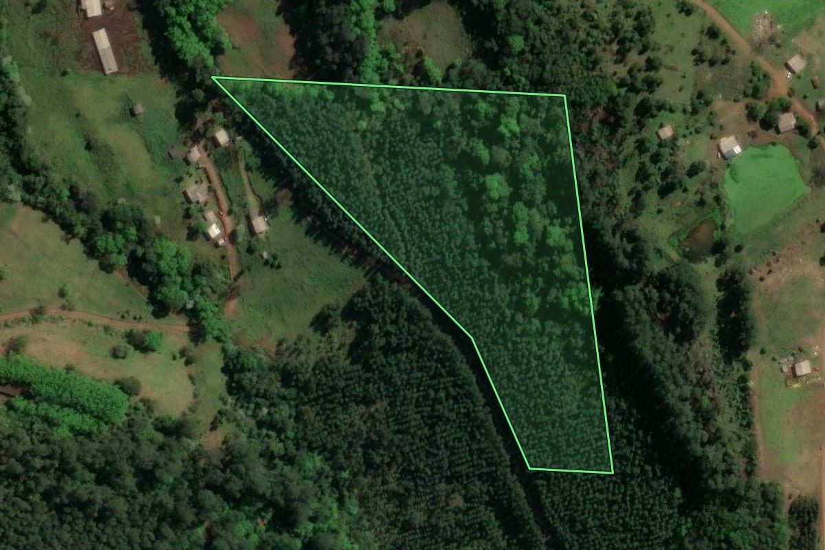 Imagem de satélite do imóvel rural em Nova Itaberaba (SC), com o contorno declarado no CAR desenhado por cima.