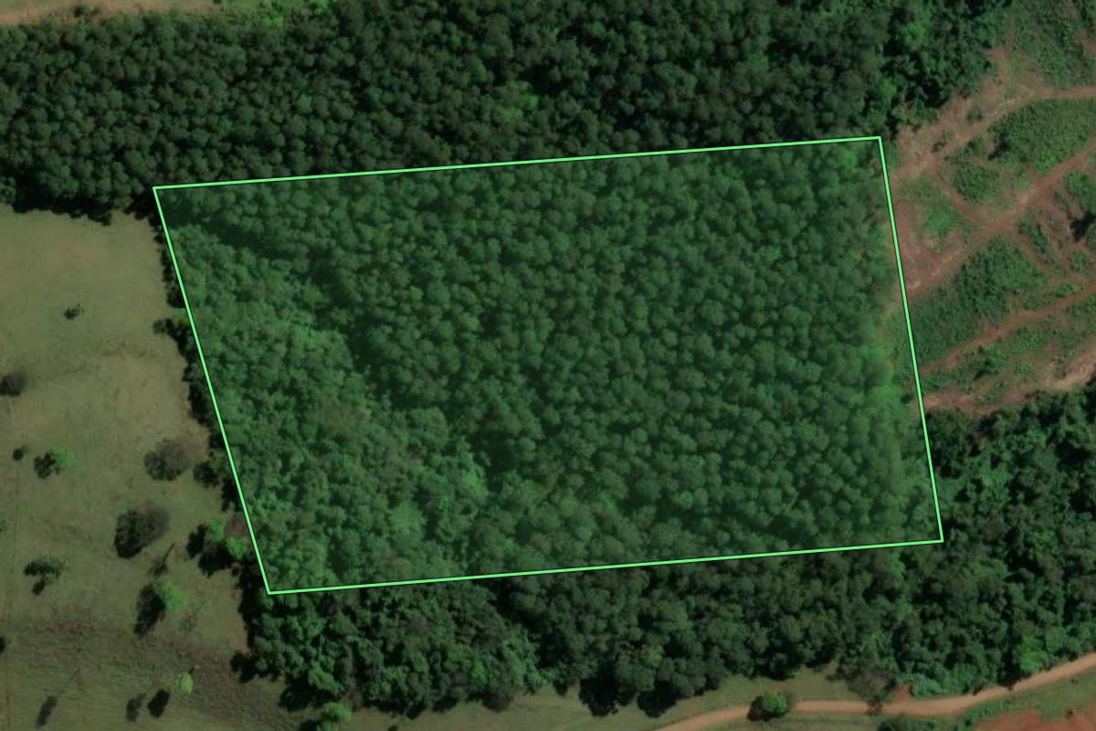 Imagem de satélite do imóvel rural em Nova Itaberaba (SC), com o contorno declarado no CAR desenhado por cima.