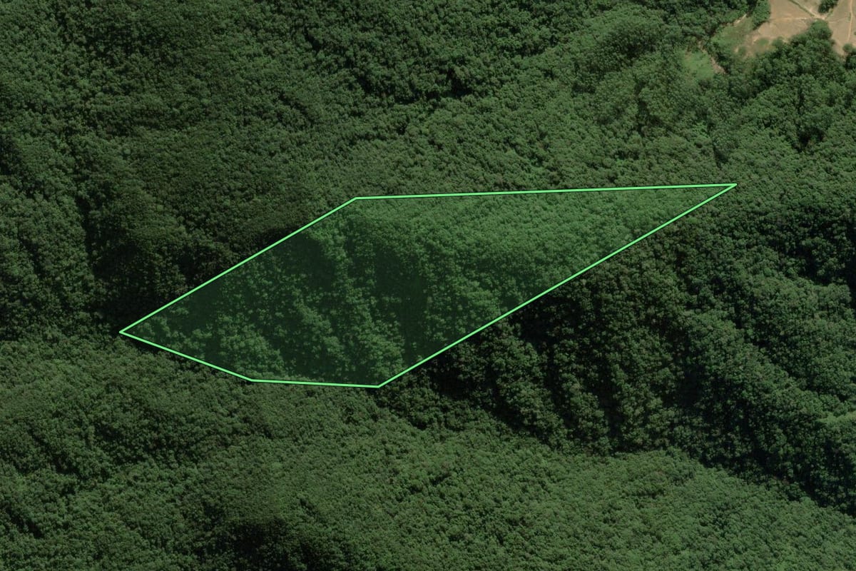 Imagem de satélite do imóvel rural em Nova Trento (SC), com o contorno declarado no CAR desenhado por cima.