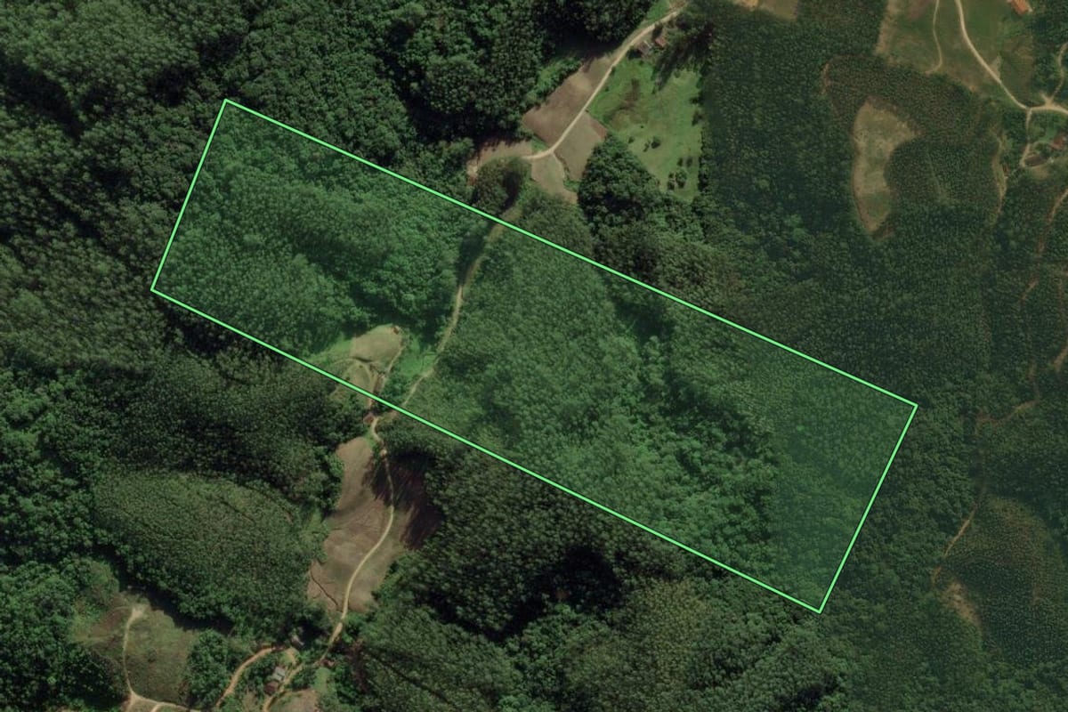 Imagem de satélite do imóvel rural em Nova Trento (SC), com o contorno declarado no CAR desenhado por cima.