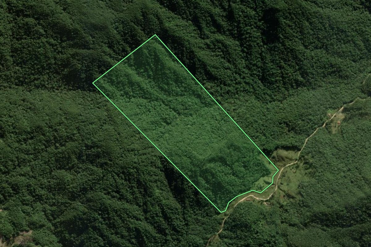 Imagem de satélite do imóvel rural em Nova Trento (SC), com o contorno declarado no CAR desenhado por cima.
