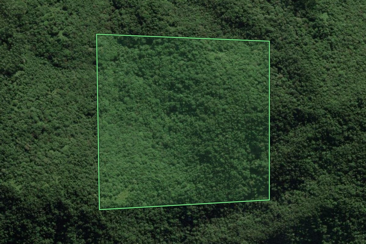 Imagem de satélite do imóvel rural em Nova Trento (SC), com o contorno declarado no CAR desenhado por cima.