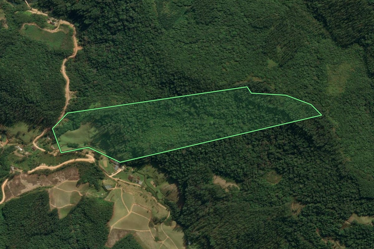 Imagem de satélite do imóvel rural em Nova Trento (SC), com o contorno declarado no CAR desenhado por cima.