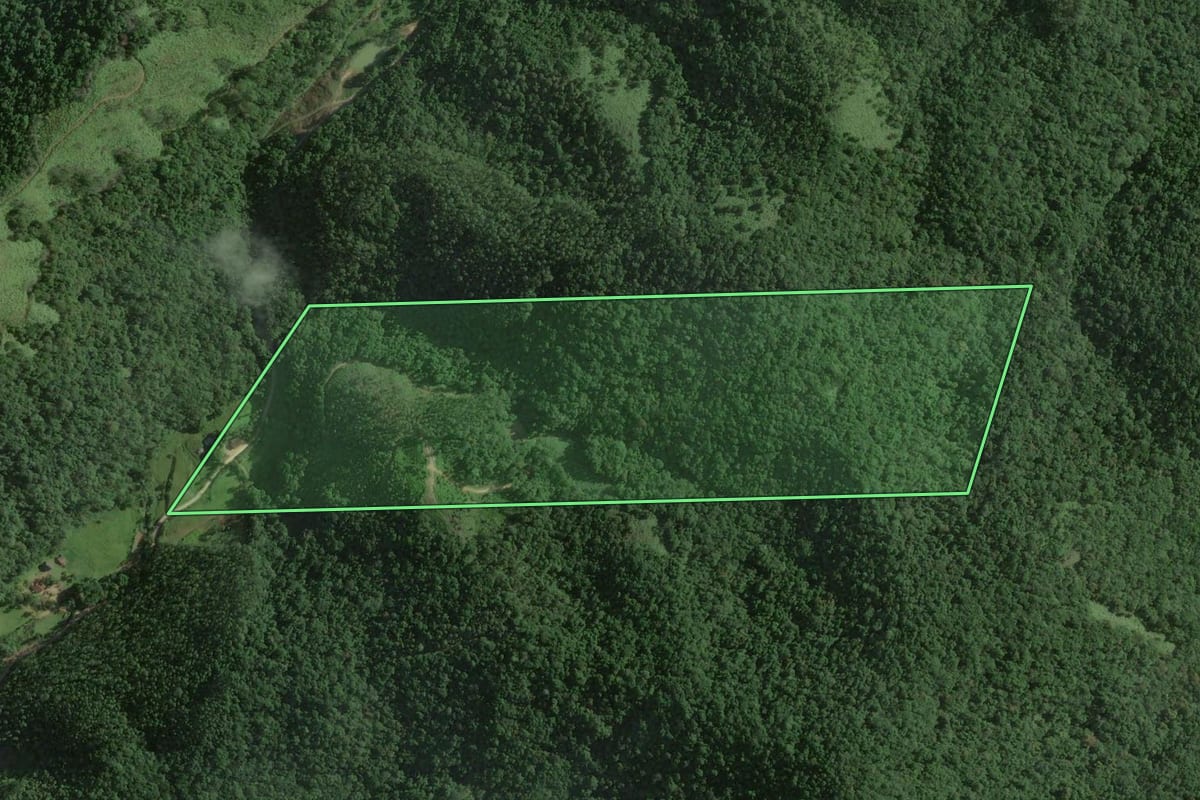Imagem de satélite do imóvel rural em Nova Trento (SC), com o contorno declarado no CAR desenhado por cima.
