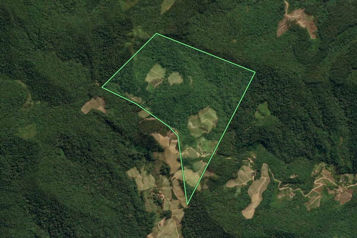 Imagem de satélite do imóvel rural em Nova Trento (SC), com o contorno declarado no CAR desenhado por cima.