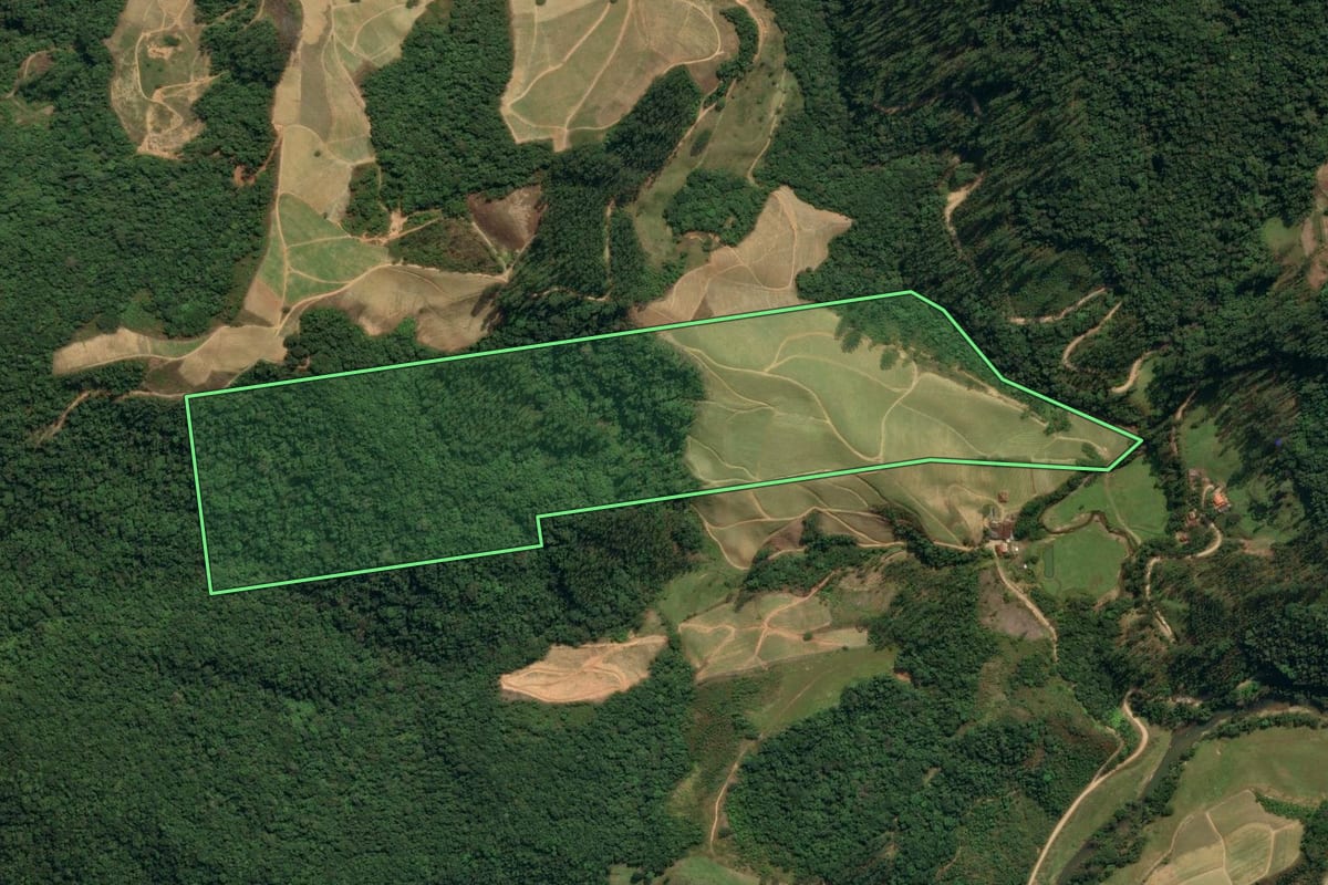 Imagem de satélite do imóvel rural em Nova Trento (SC), com o contorno declarado no CAR desenhado por cima.