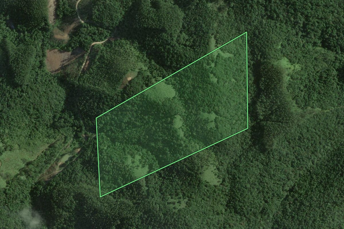 Imagem de satélite do imóvel rural em Nova Trento (SC), com o contorno declarado no CAR desenhado por cima.
