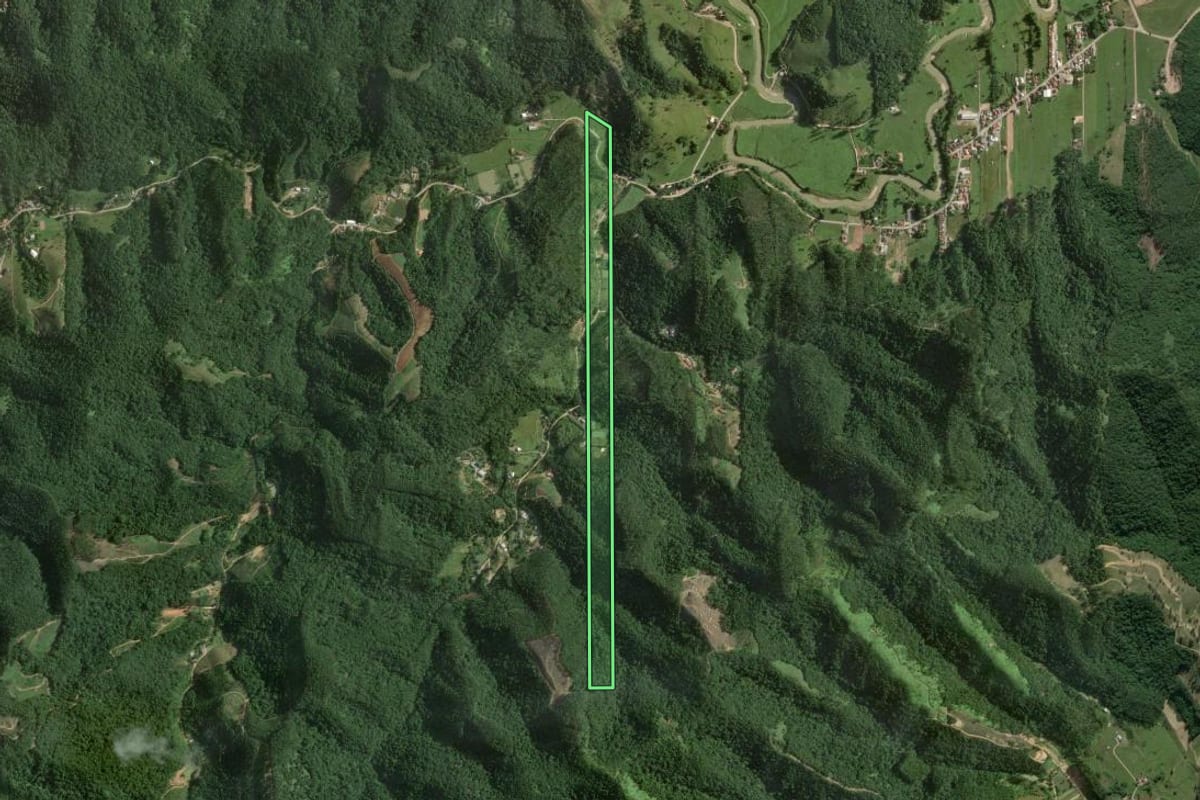 Imagem de satélite do imóvel rural em Nova Trento (SC), com o contorno declarado no CAR desenhado por cima.