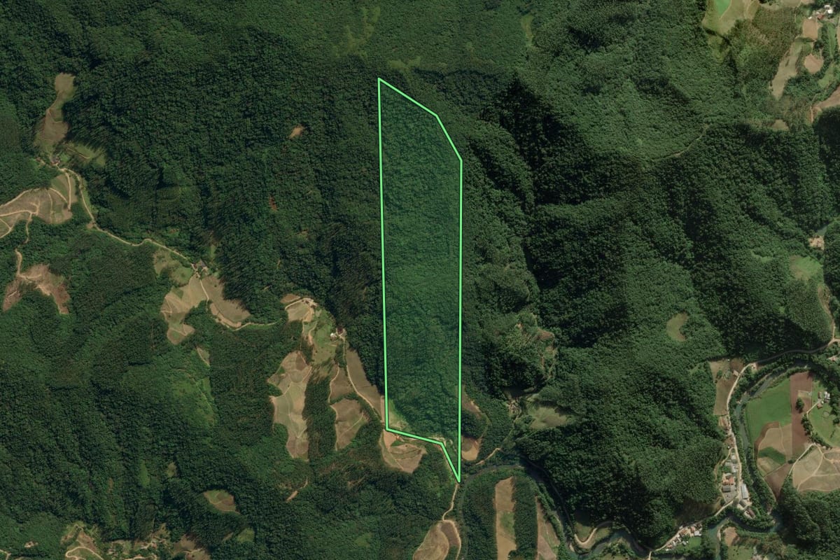 Imagem de satélite do imóvel rural em Nova Trento (SC), com o contorno declarado no CAR desenhado por cima.