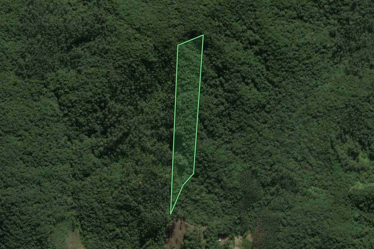 Imagem de satélite do imóvel rural em Nova Trento (SC), com o contorno declarado no CAR desenhado por cima.