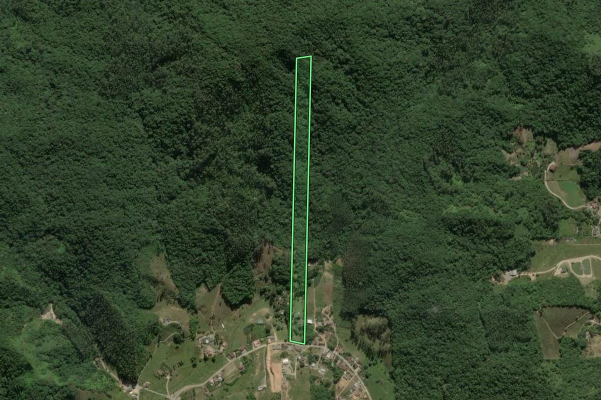 Imagem de satélite do imóvel rural em Nova Trento (SC), com o contorno declarado no CAR desenhado por cima.