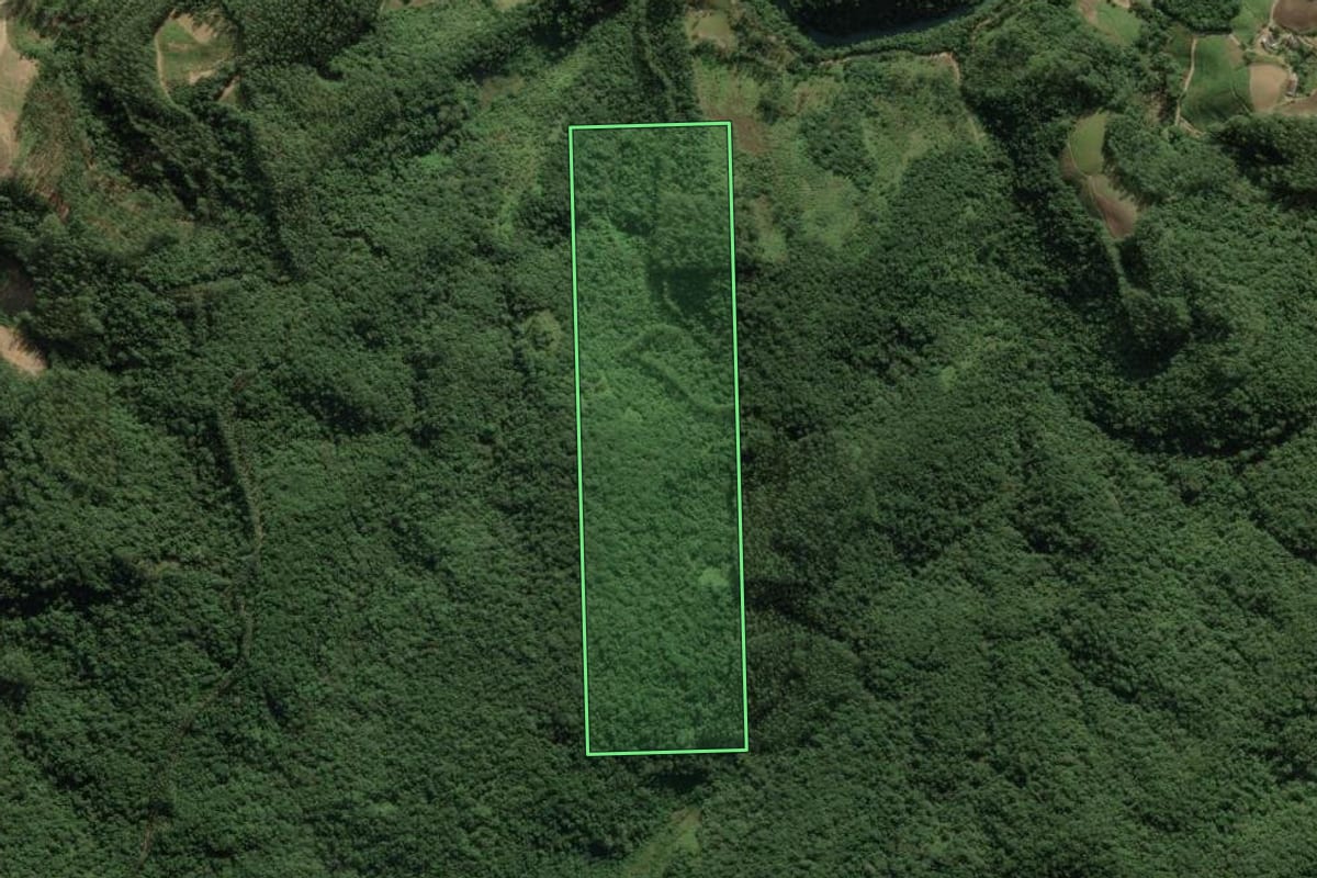 Imagem de satélite do imóvel rural em Nova Trento (SC), com o contorno declarado no CAR desenhado por cima.
