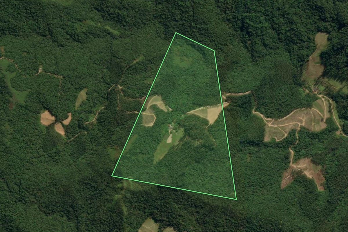 Imagem de satélite do imóvel rural em Nova Trento (SC), com o contorno declarado no CAR desenhado por cima.
