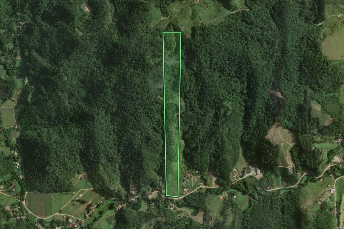 Imagem de satélite do imóvel rural em Nova Trento (SC), com o contorno declarado no CAR desenhado por cima.