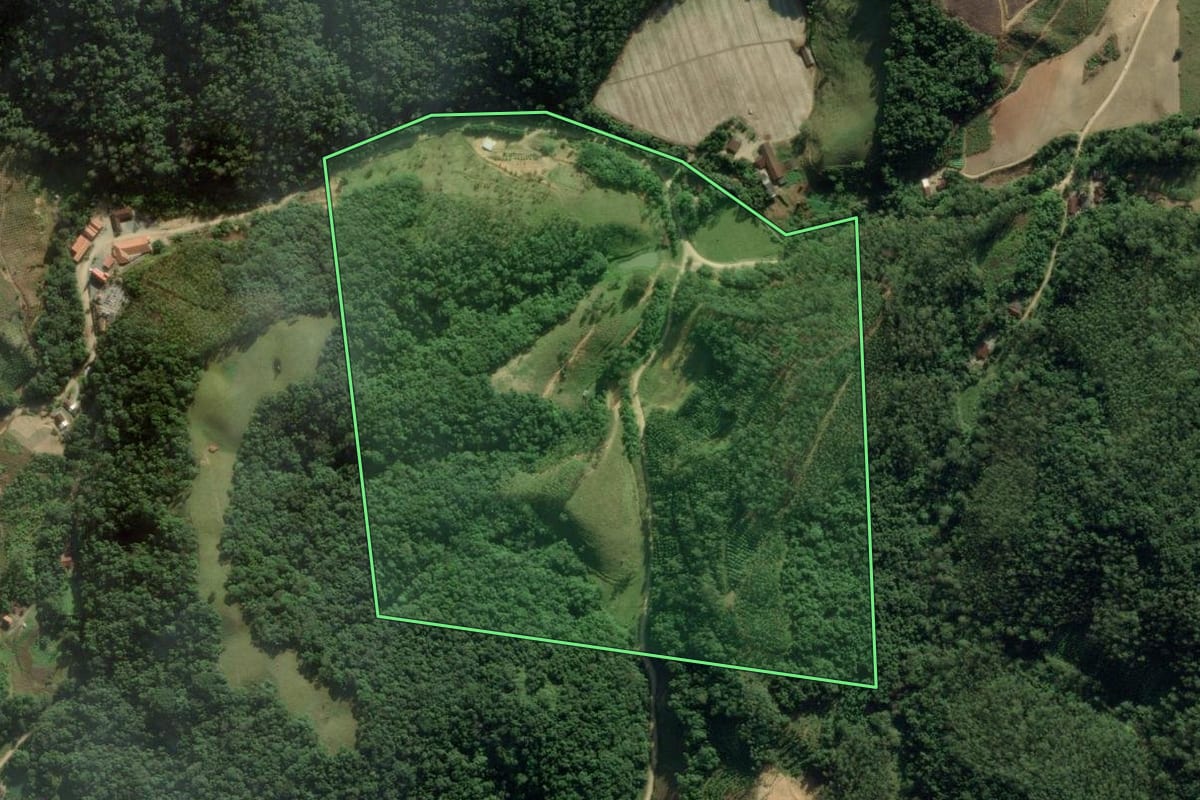 Imagem de satélite do imóvel rural em Nova Trento (SC), com o contorno declarado no CAR desenhado por cima.
