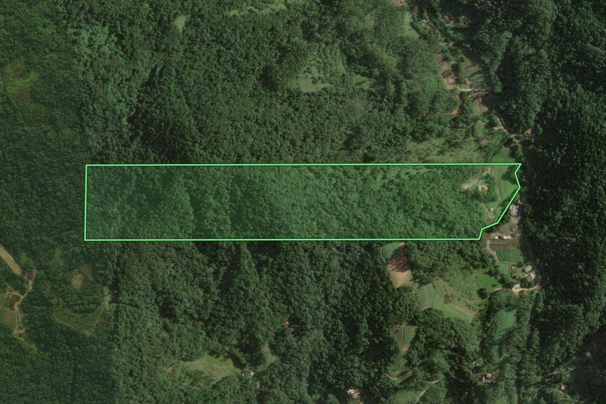 Imagem de satélite do imóvel rural em Nova Trento (SC), com o contorno declarado no CAR desenhado por cima.