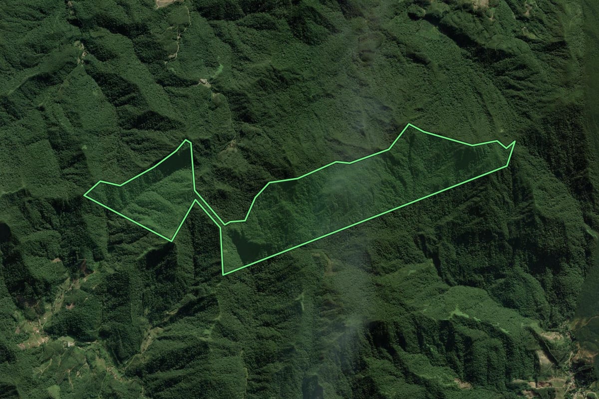Imagem de satélite do imóvel rural em Nova Trento (SC), com o contorno declarado no CAR desenhado por cima.