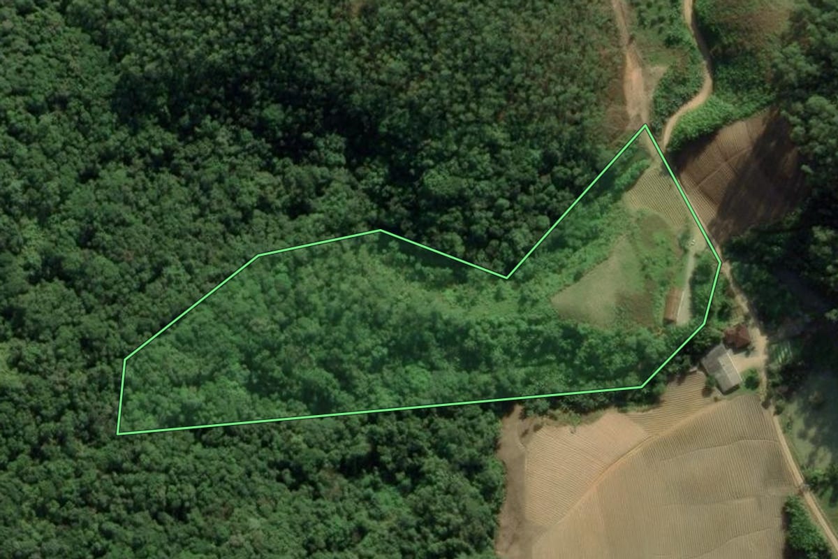 Imagem de satélite do imóvel rural em Nova Trento (SC), com o contorno declarado no CAR desenhado por cima.