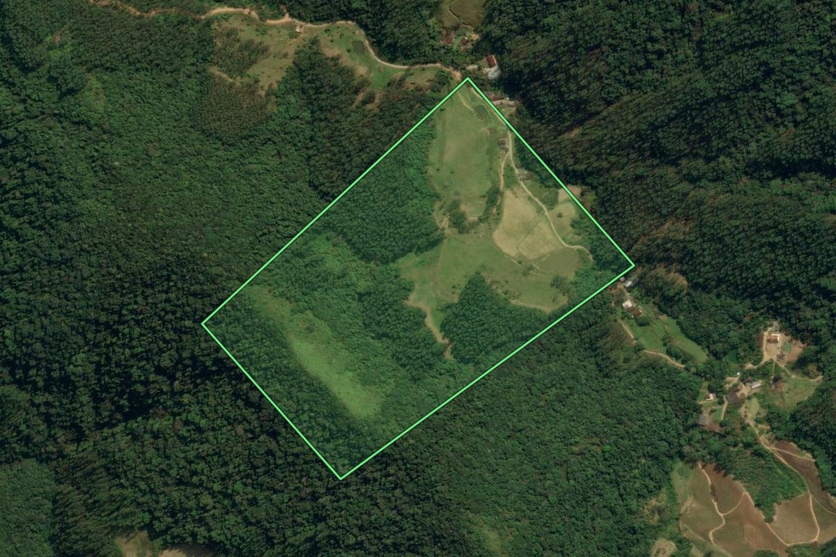 Imagem de satélite do imóvel rural em Nova Trento (SC), com o contorno declarado no CAR desenhado por cima.