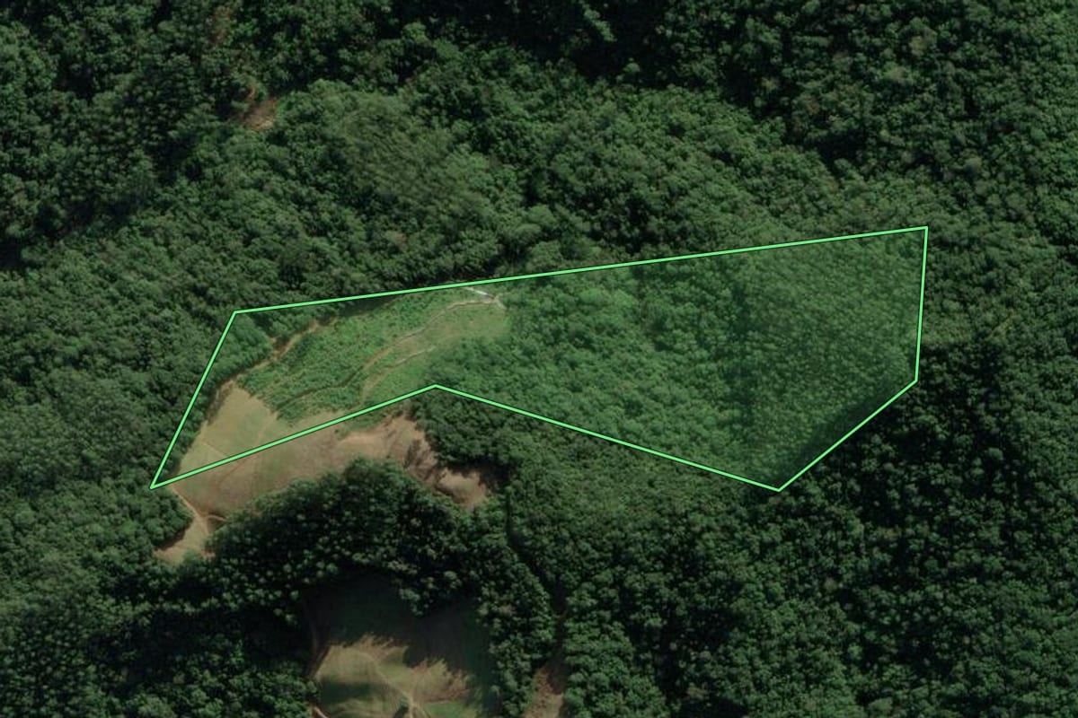 Imagem de satélite do imóvel rural em Nova Trento (SC), com o contorno declarado no CAR desenhado por cima.