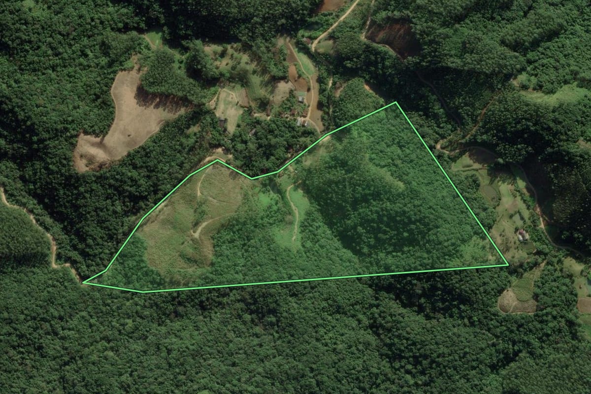 Imagem de satélite do imóvel rural em Nova Trento (SC), com o contorno declarado no CAR desenhado por cima.