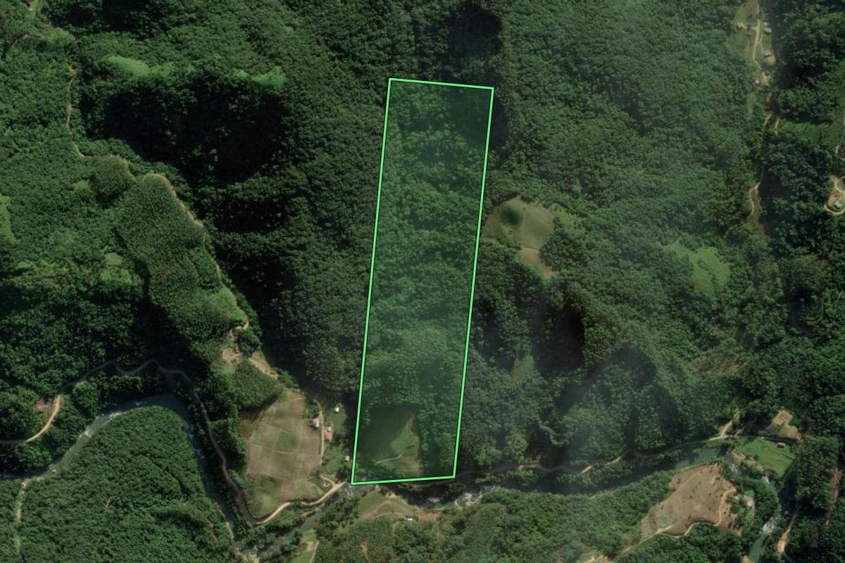 Imagem de satélite do imóvel rural em Nova Trento (SC), com o contorno declarado no CAR desenhado por cima.