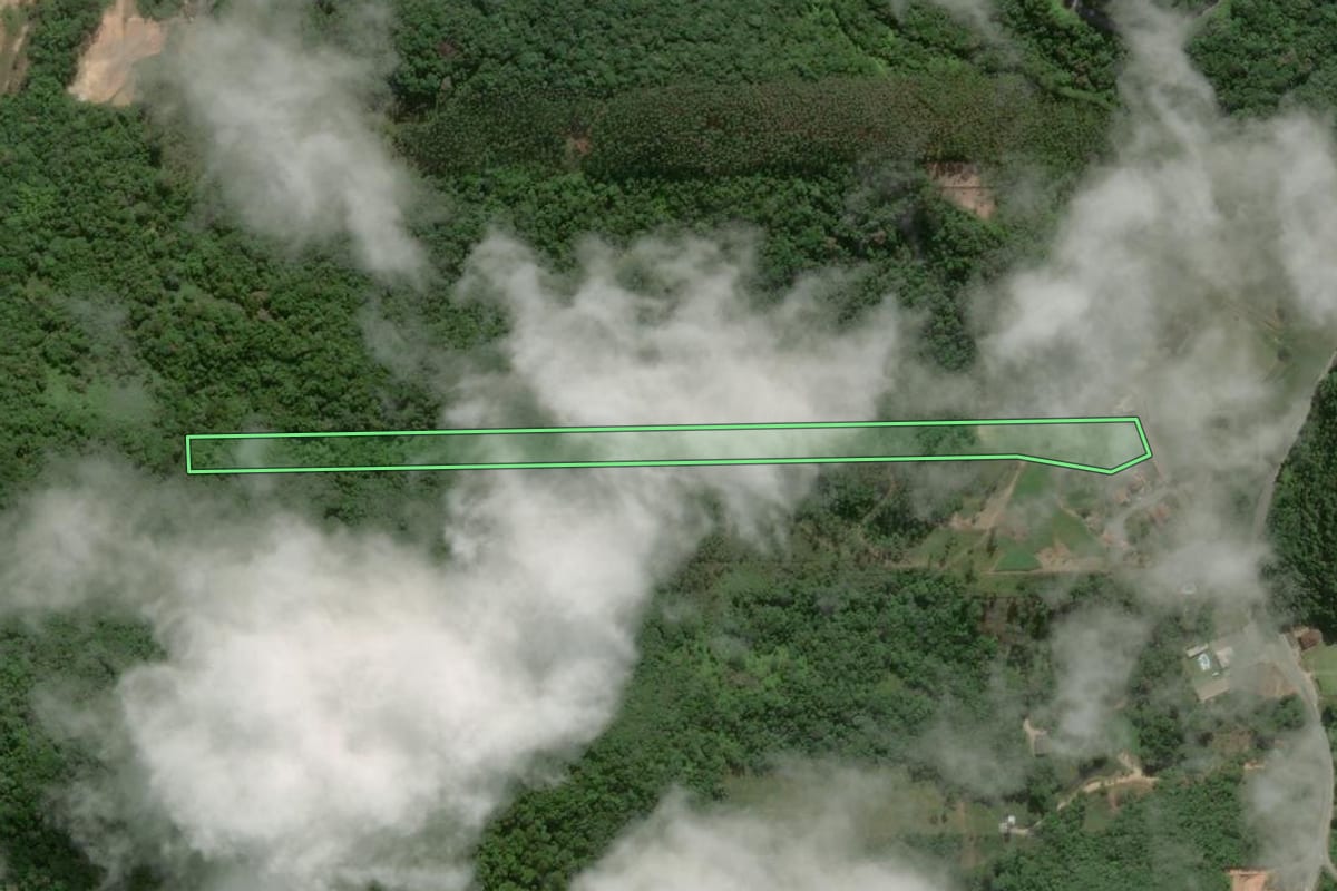 Imagem de satélite do imóvel rural em Nova Trento (SC), com o contorno declarado no CAR desenhado por cima.