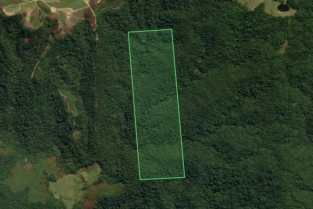 Imagem de satélite do imóvel rural em Nova Trento (SC), com o contorno declarado no CAR desenhado por cima.