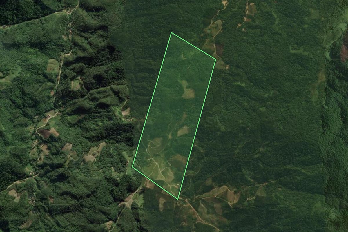 Imagem de satélite do imóvel rural em Nova Trento (SC), com o contorno declarado no CAR desenhado por cima.