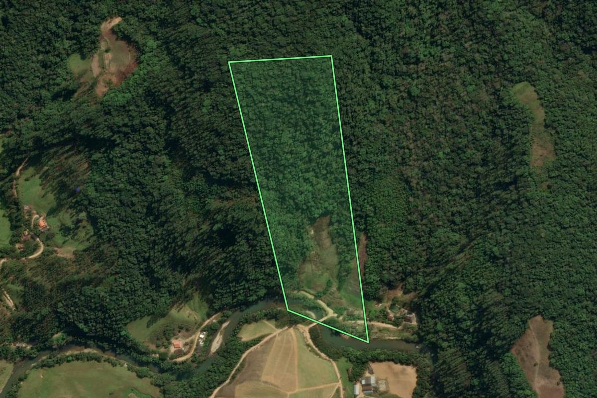 Imagem de satélite do imóvel rural em Nova Trento (SC), com o contorno declarado no CAR desenhado por cima.
