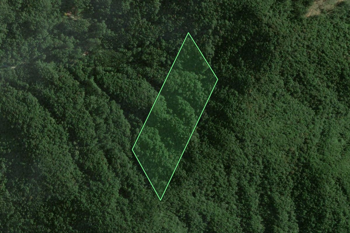 Imagem de satélite do imóvel rural em Nova Trento (SC), com o contorno declarado no CAR desenhado por cima.