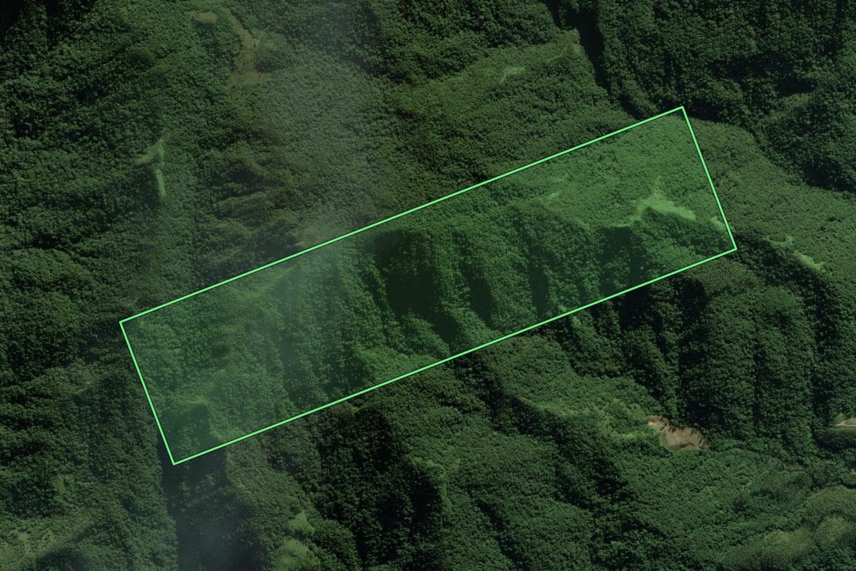 Imagem de satélite do imóvel rural em Nova Trento (SC), com o contorno declarado no CAR desenhado por cima.